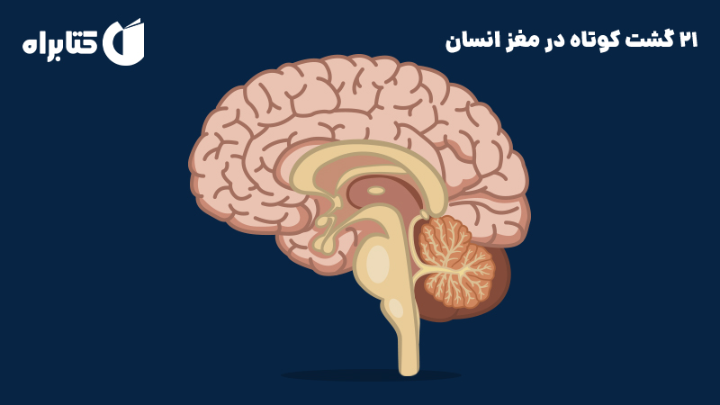 معرفی و دانلود کتاب 21 گشت کوتاه در مغز انسان