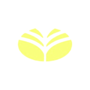 انتشارات کندوکاو