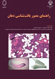 معرفی و دانلود کتاب PDF راهنمای مصور بافت شناسی دهان