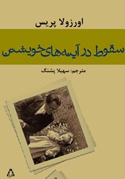 عکس جلد کتاب سقوط در آینه‌های خویشتن: شرح وقایع