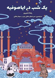 عکس جلد کتاب یک شب در ایاصوفیه