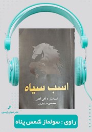 معرفی و دانلود کتاب صوتی اسب سیاه