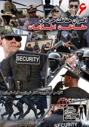 عکس جلد کتاب افسران حفاظت حرفه‌ای: حفاظت اطلاعات