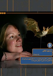 عکس جلد خلاصه کتاب صوتی راز ژنوم خفاش
