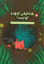 معرفی و دانلود کتاب صوتی جوجه تیغی کوچولو کجاست؟