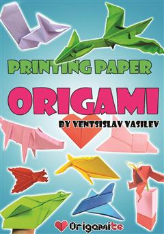 عکس جلد کتاب Origami Book