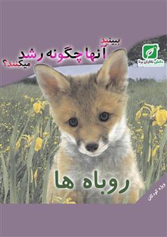 عکس جلد کتاب ببینید روباه‌ها چگونه رشد می‌کنند؟