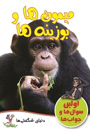 عکس جلد کتاب میمون‌ها و بوزینه‌ها