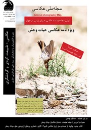 معرفی و دانلود مجله ملی عکاسی - شماره سوم - تابستان 1402