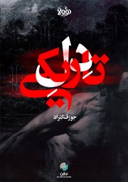 عکس جلد خلاصه کتاب دل تاریکی