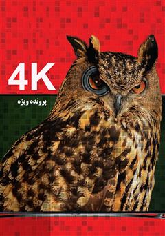 عکس جلد کتاب 4K