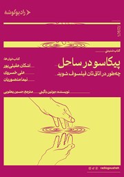 معرفی و دانلود کتاب صوتی پیکاسو در ساحل