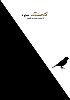 عکس جلد کتاب گنجشگک سیاه