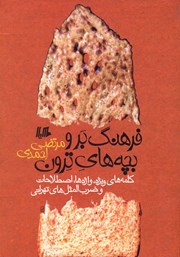 عکس جلد کتاب فرهنگ بر و بچه‌های ترون: کلمه‌های ویژه، واژه‌ها، اصطلاحات و ضرب‌المثل‌های تهرانی