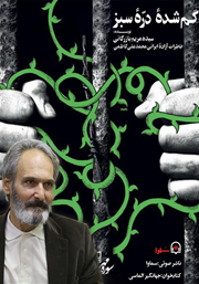 عکس جلد کتاب صوتی گمشده دره سبز: خاطرات آزاده ایرانی محمدعلی کاظمی