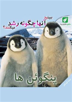 عکس جلد کتاب ببینید پنگوئن‌ها چگونه رشد می‌کنند؟