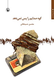 عکس جلد کتاب کوه صدایم را پس نمی‌دهد: مجموعه شعر