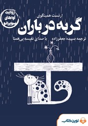 معرفی و دانلود کتاب صوتی گربه در باران