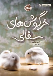 عکس جلد کتاب خرگوش‌های سفالی