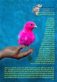 عکس جلد  ماهنامه ادبیات داستانی چوک - شماره 68