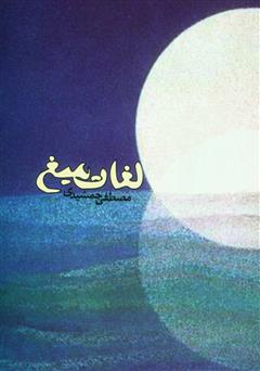 عکس جلد کتاب لغات میغ