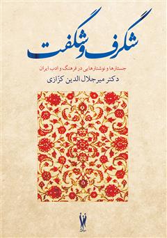شگرف و شگفت: جستارها و نوشتارهایی در فرهنگ و ادب ایران